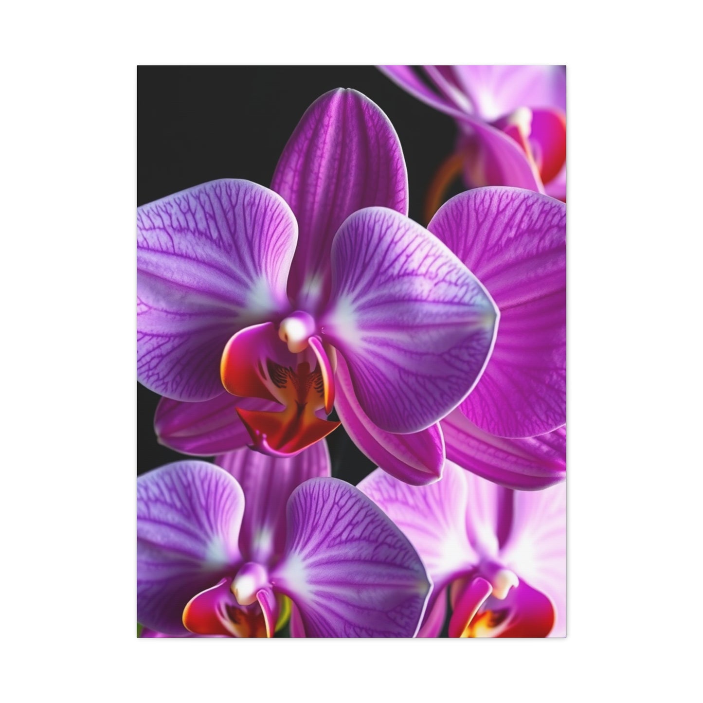 Elite Orchid Flower Art Vision Wall Art & Canvas Print
