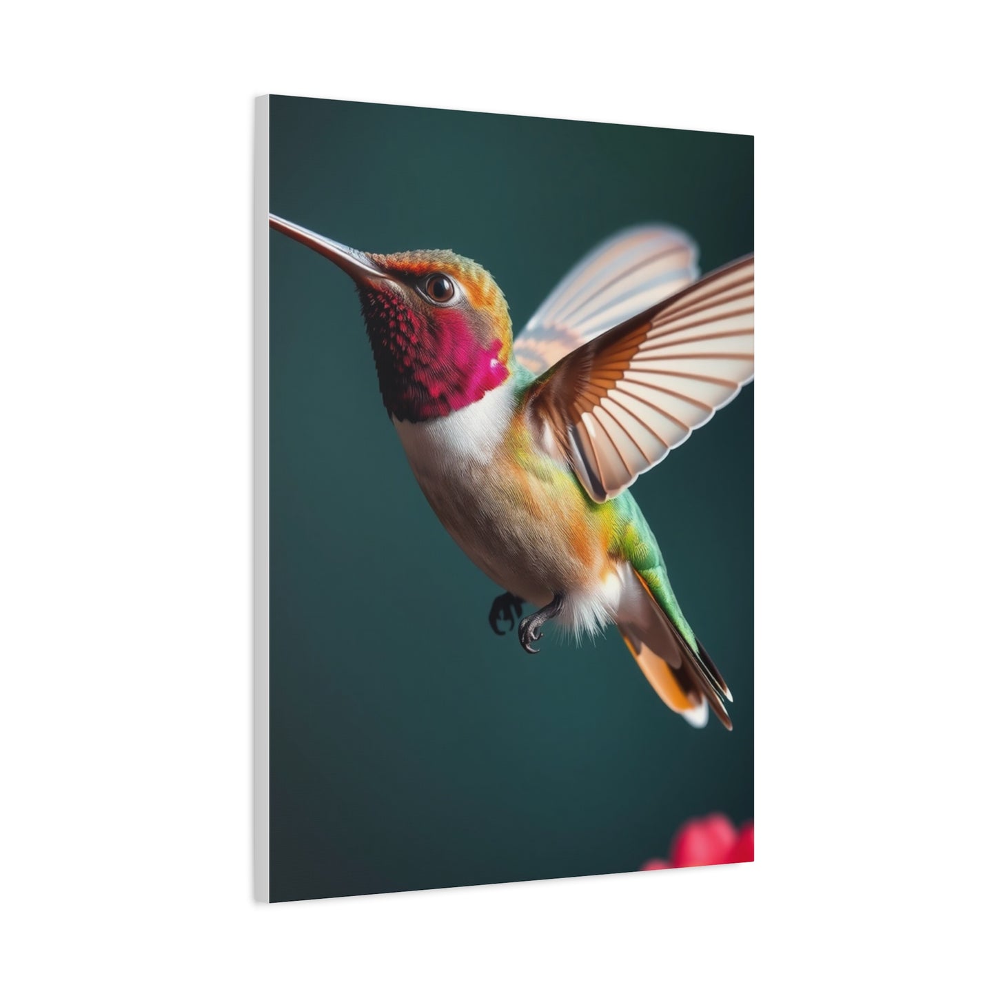 Humming Bird Art Refined Canvas Wall Art & Canvas Print