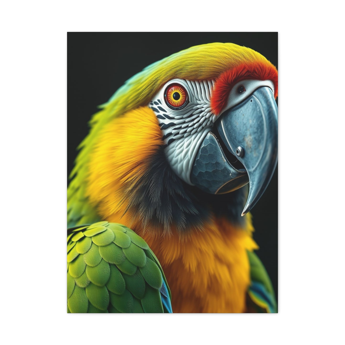 Elite Parrot Art Vision Wall Art & Canvas Print