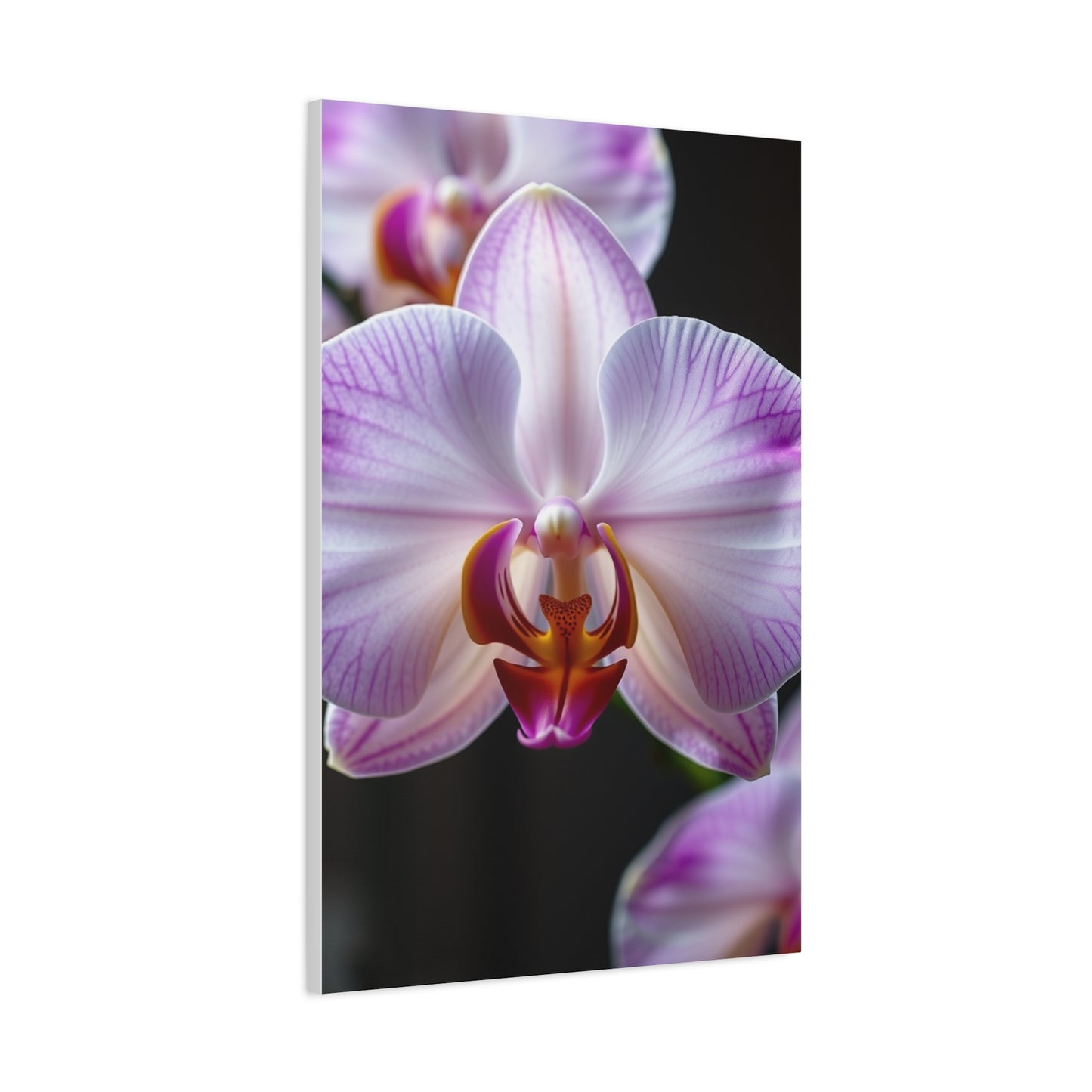 Orchid Flower Art Refined Canvas Wall Art & Canvas Print