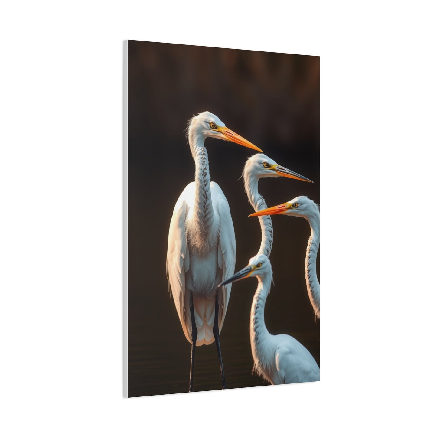 Elite Herons and Egrets Art Vision Wall Art & Canvas Print