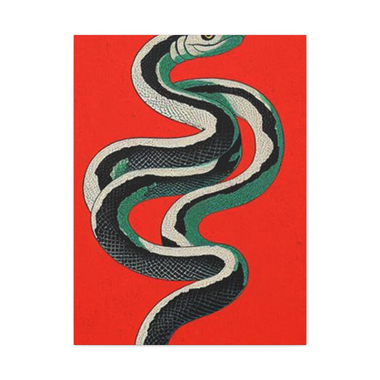 Snake's Wall Art & Canvas Prints