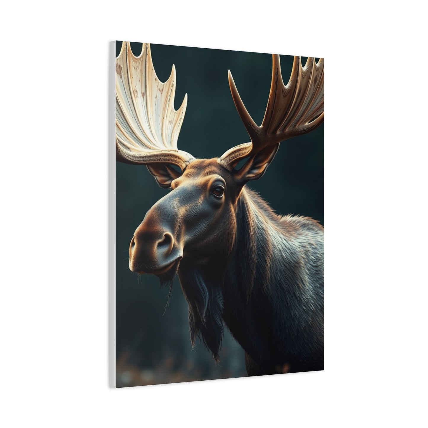 Moose Art Refined Canvas Wall Art & Canvas Print