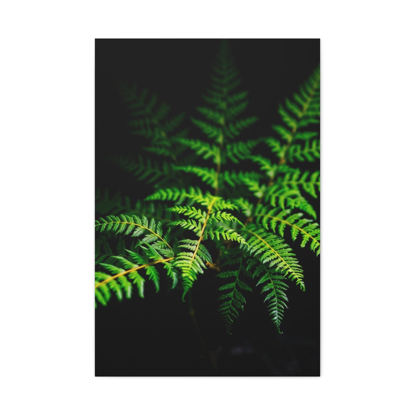 Supreme Fern Art Collection Wall Art & Canvas Print
