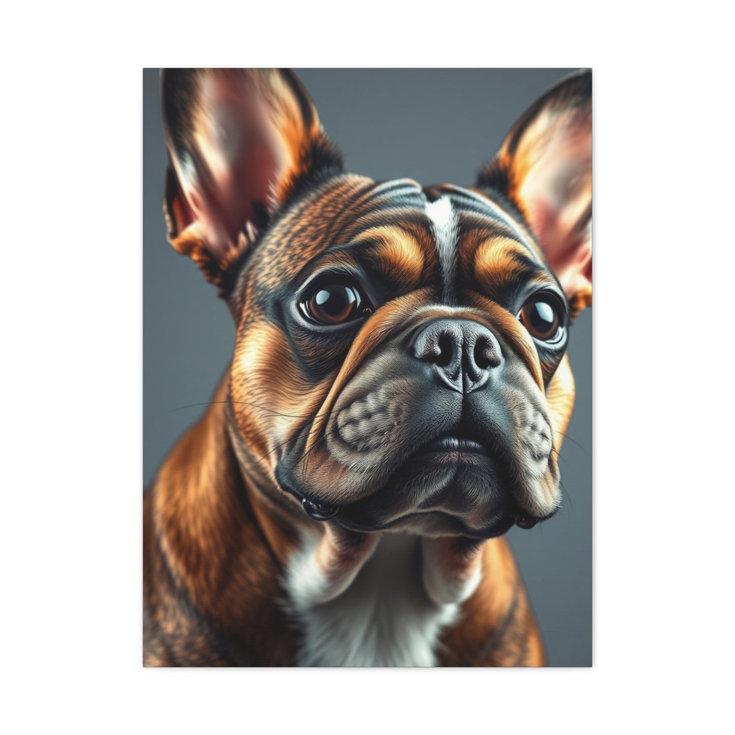 French Bulldog Art Supreme Gallery Wall Art & Canvas Print