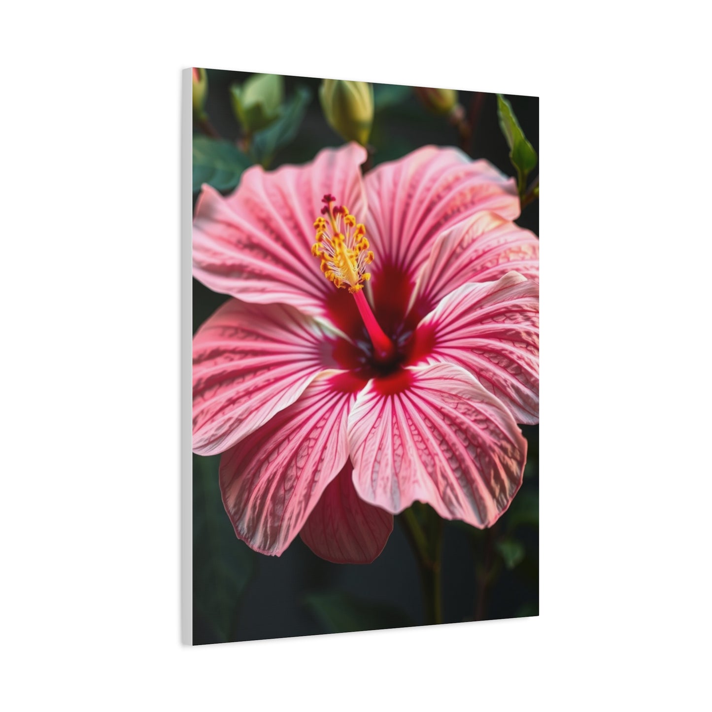 Supreme Hibiscus Flower Art Collection Wall Art & Canvas Print
