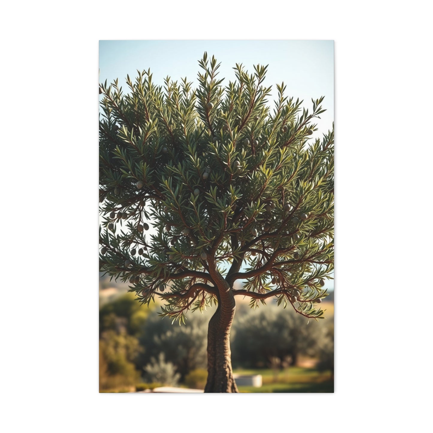 Supreme Olive Tree Art Collection Wall Art & Canvas Print
