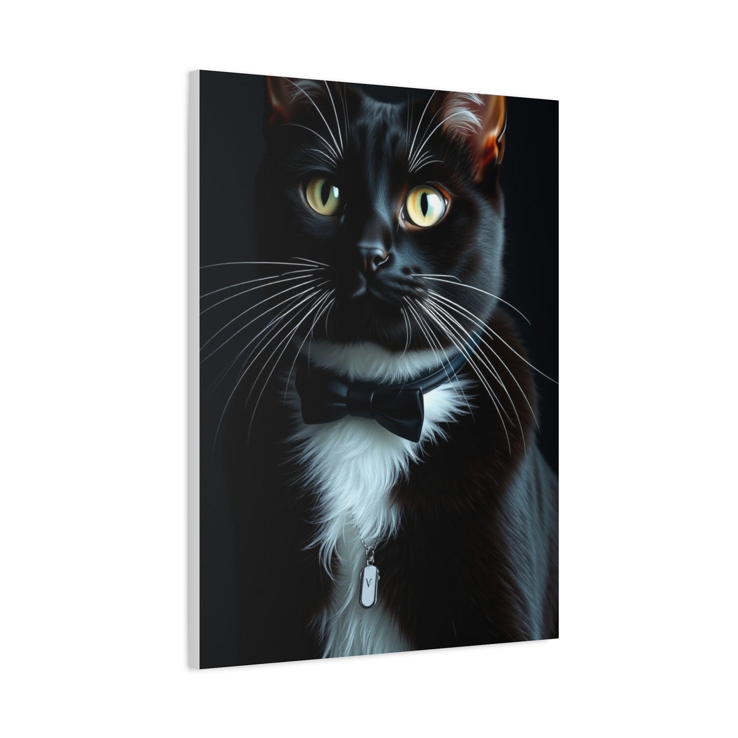 Elite Tuxedo Cat Art Vision Wall Art & Canvas Print