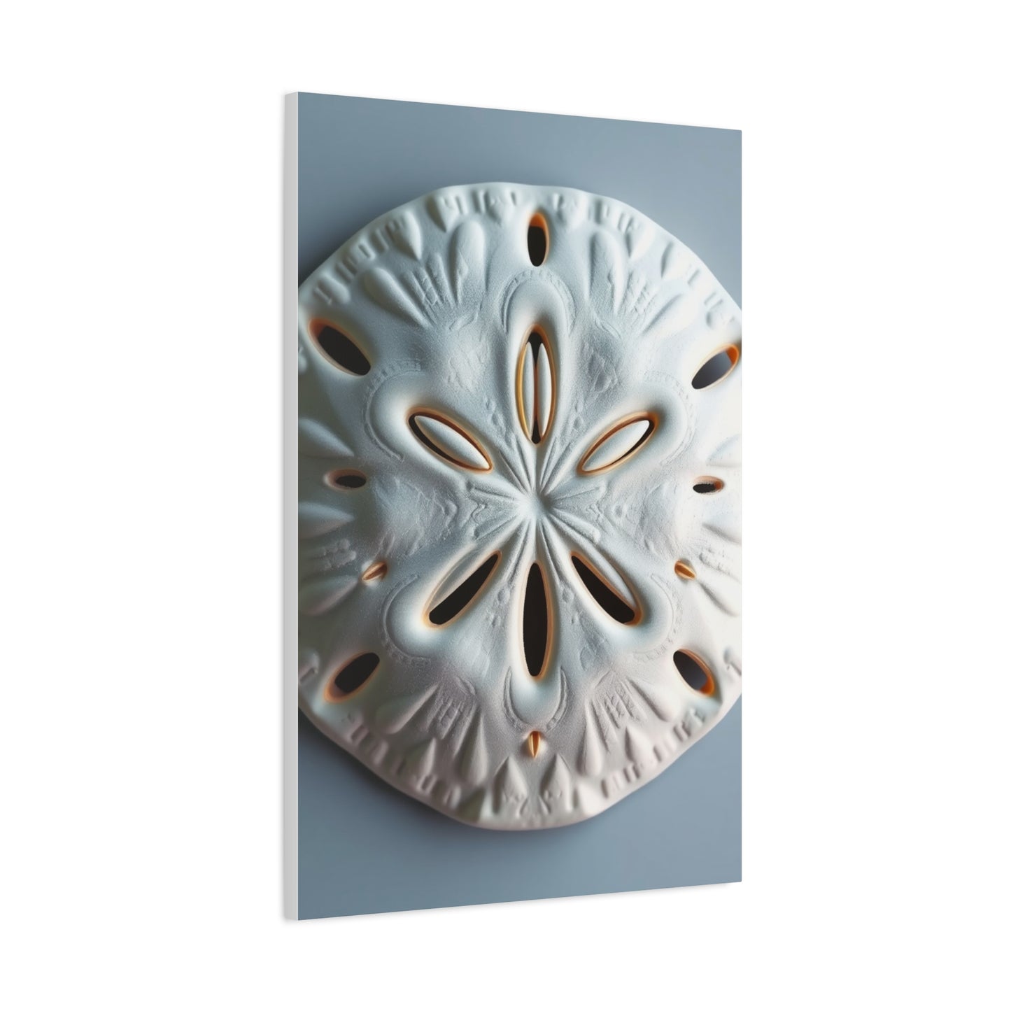 Supreme Sand Dollar Art Collection Wall Art & Canvas Print