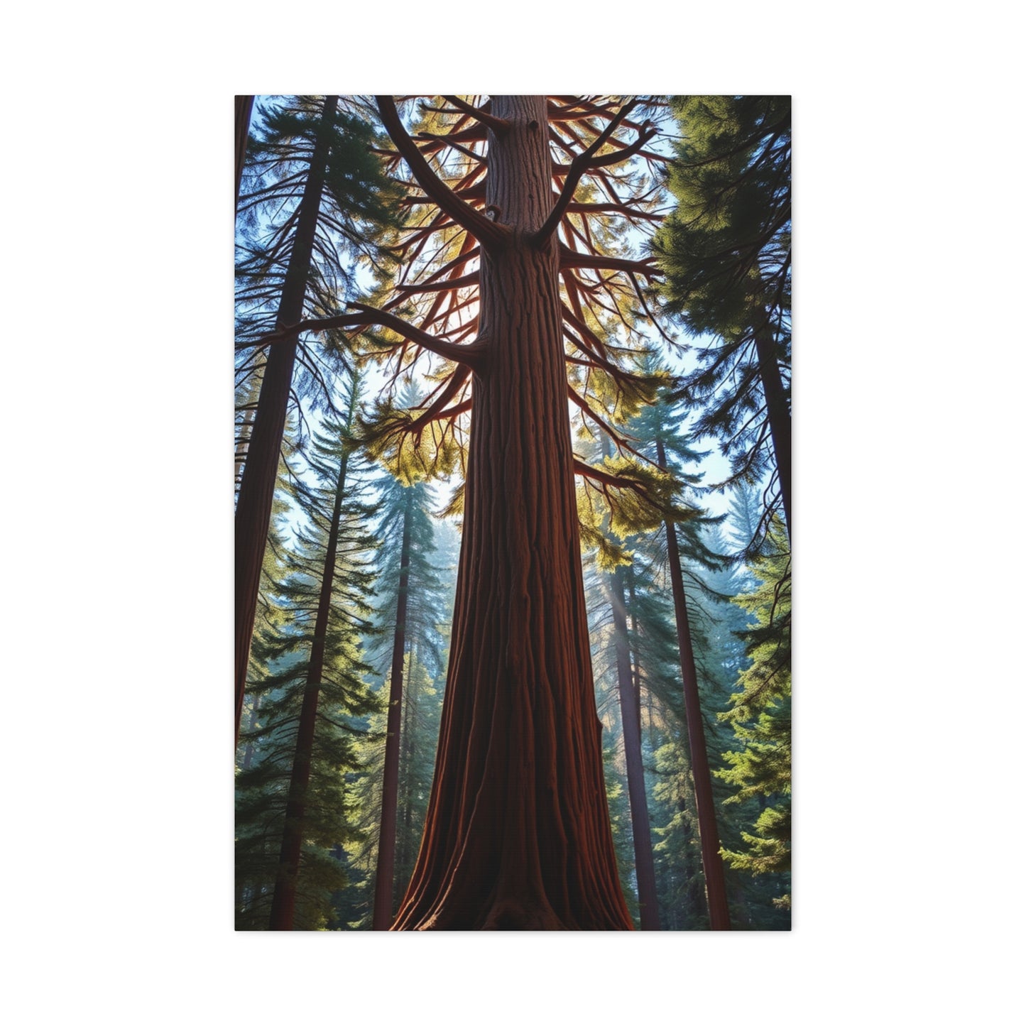 Masterpiece Redwood Tree Art Vision Wall Art & Canvas Print