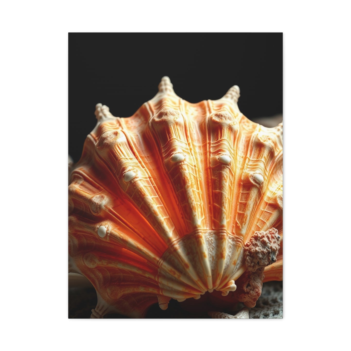 Sea Shell Art Supreme Gallery Wall Art & Canvas Print