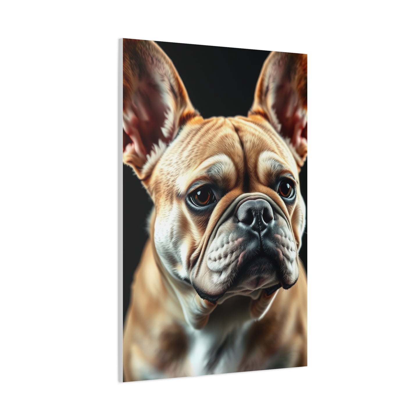 Supreme French Bulldog Art Collection Wall Art & Canvas Print