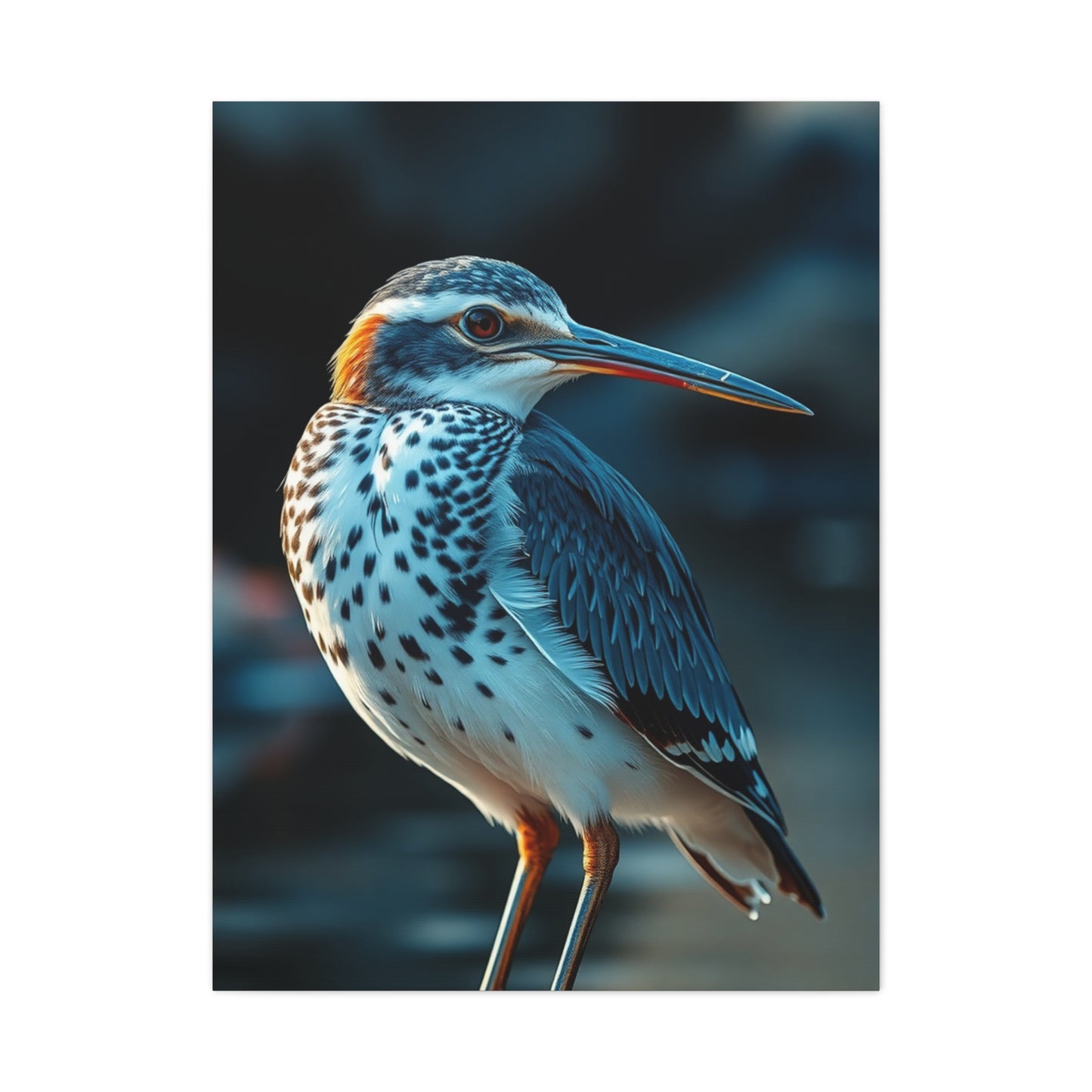 Masterpiece Sandpiper Art Vision Wall Art & Canvas Print