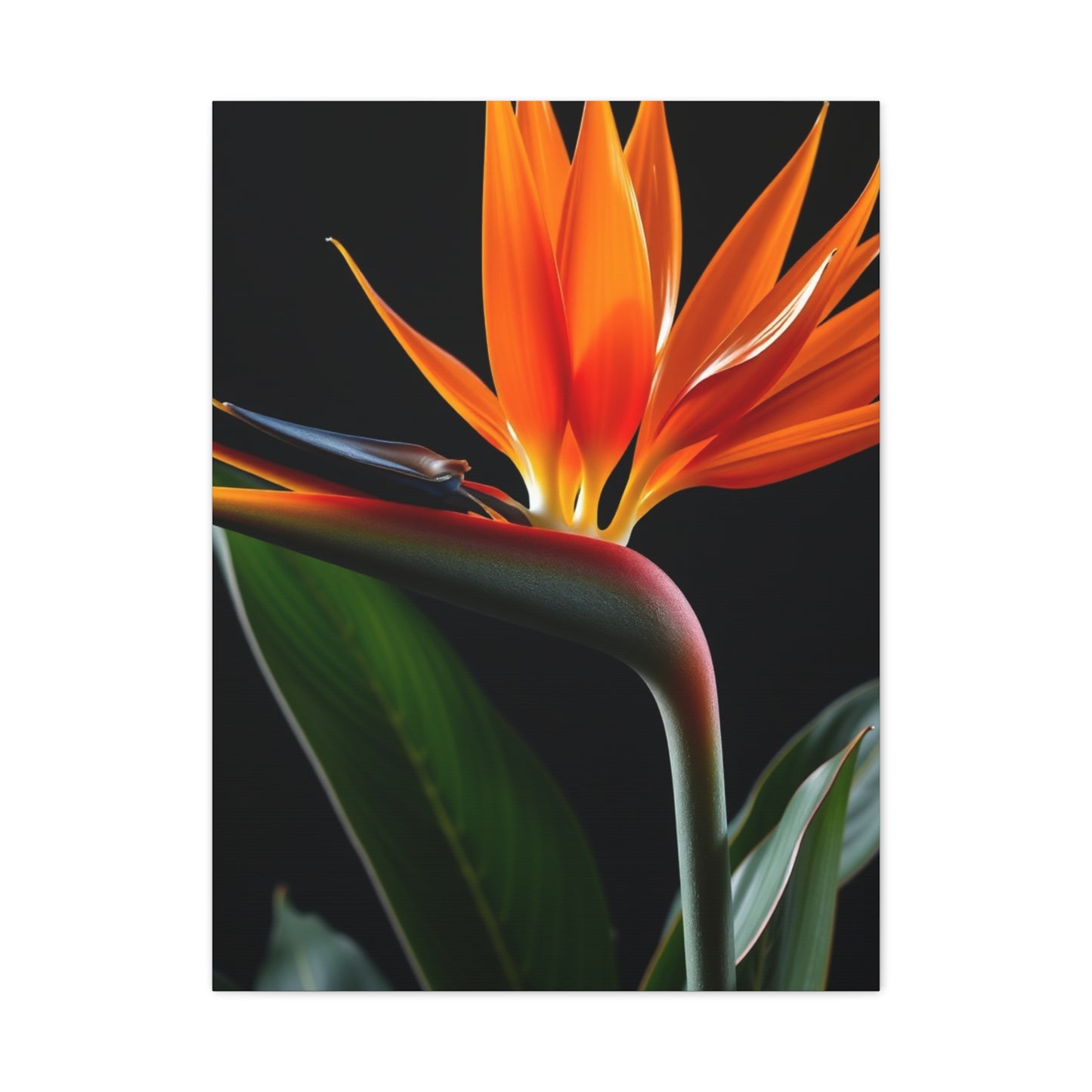 Masterpiece Bird of Paradise Plant Art Vision Wall Art & Canvas Print