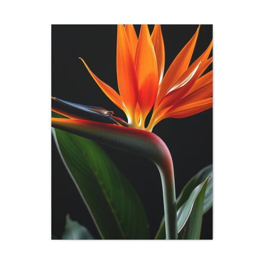 Masterpiece Bird of Paradise Plant Art Vision Wall Art & Canvas Print