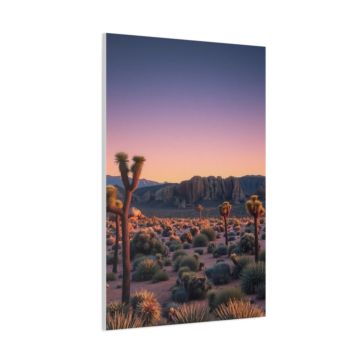 Joshua Tree National Park Art Supreme Gallery Wall Art & Canvas Print