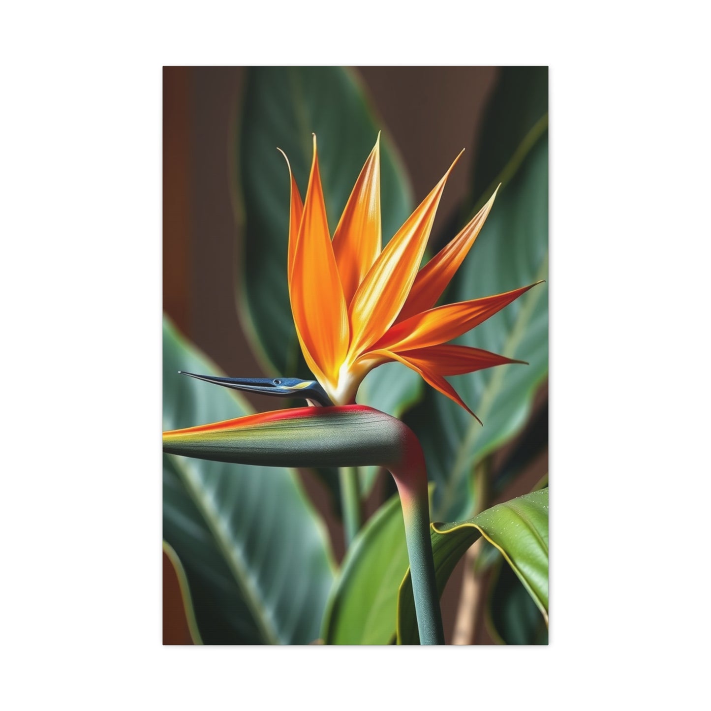 Elite Bird of Paradise Plant Art Vision Wall Art & Canvas Print