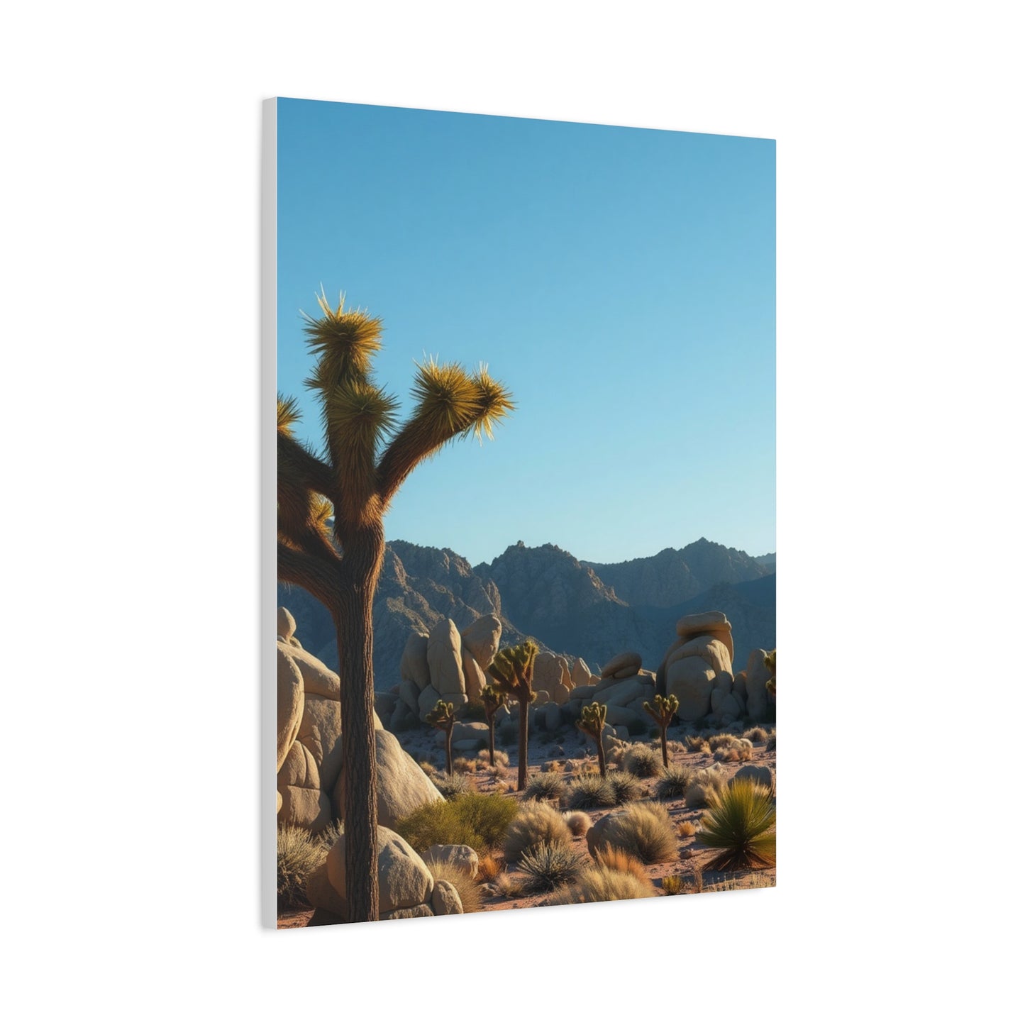 Supreme Joshua Tree National Park Art Collection Wall Art & Canvas Print