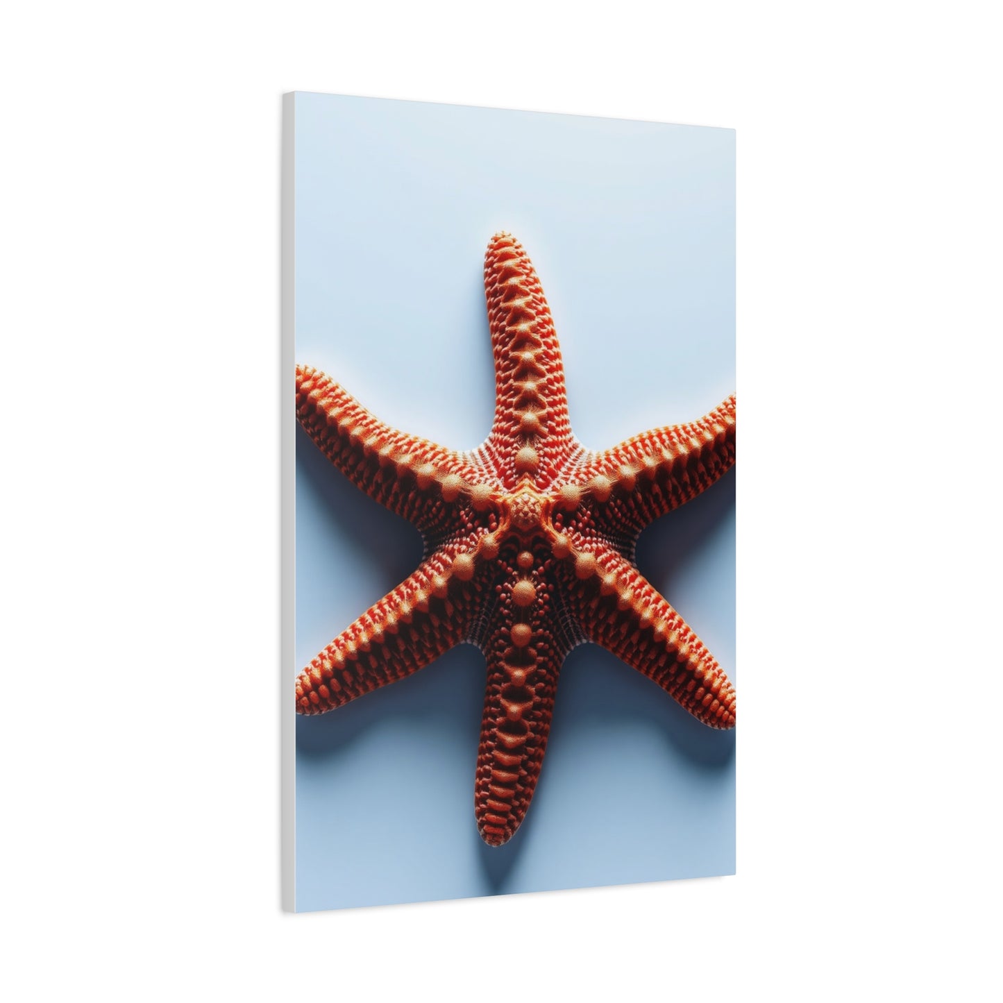 Starfish Art Supreme Gallery Wall Art & Canvas Print