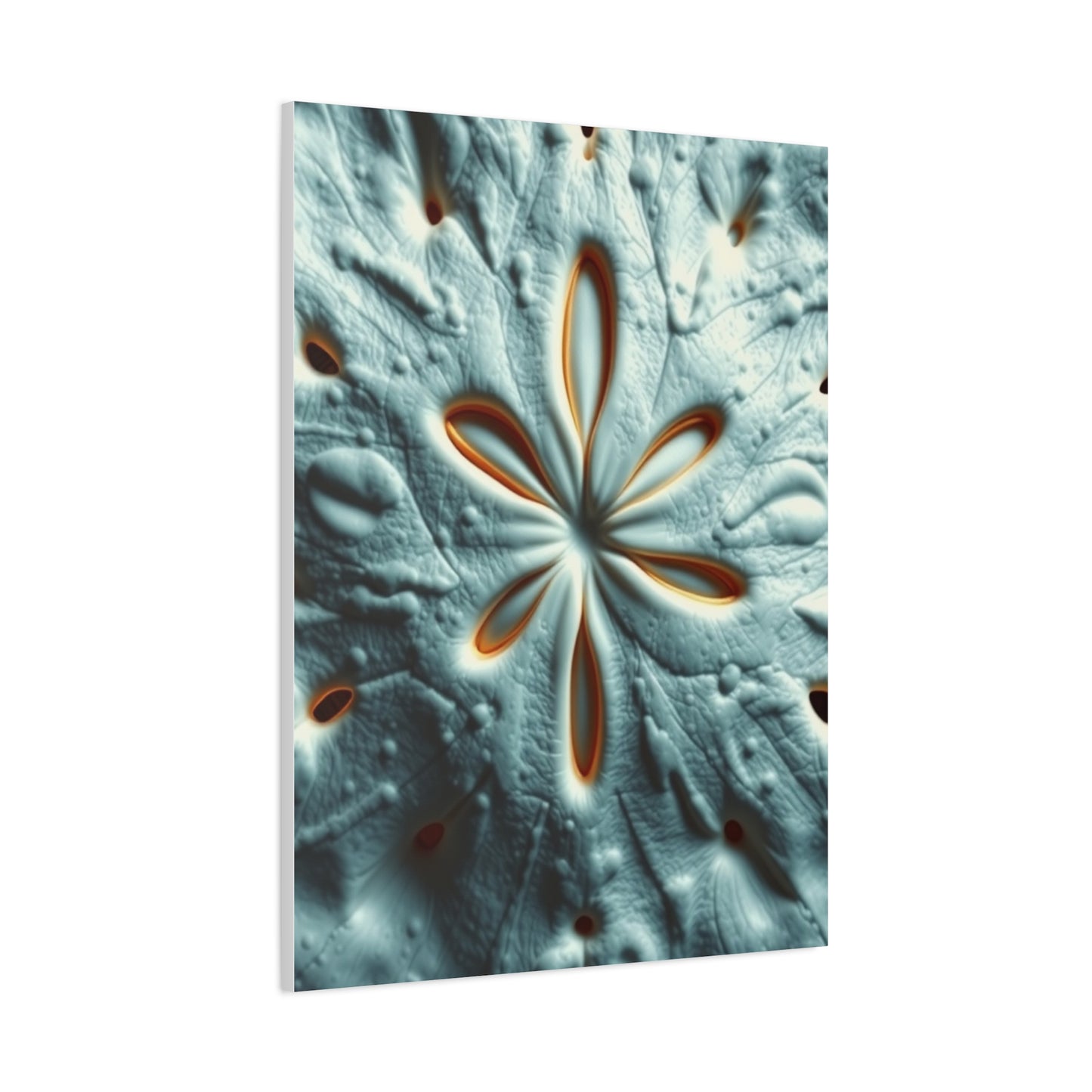 Sand Dollar Art Refined Canvas Wall Art & Canvas Print
