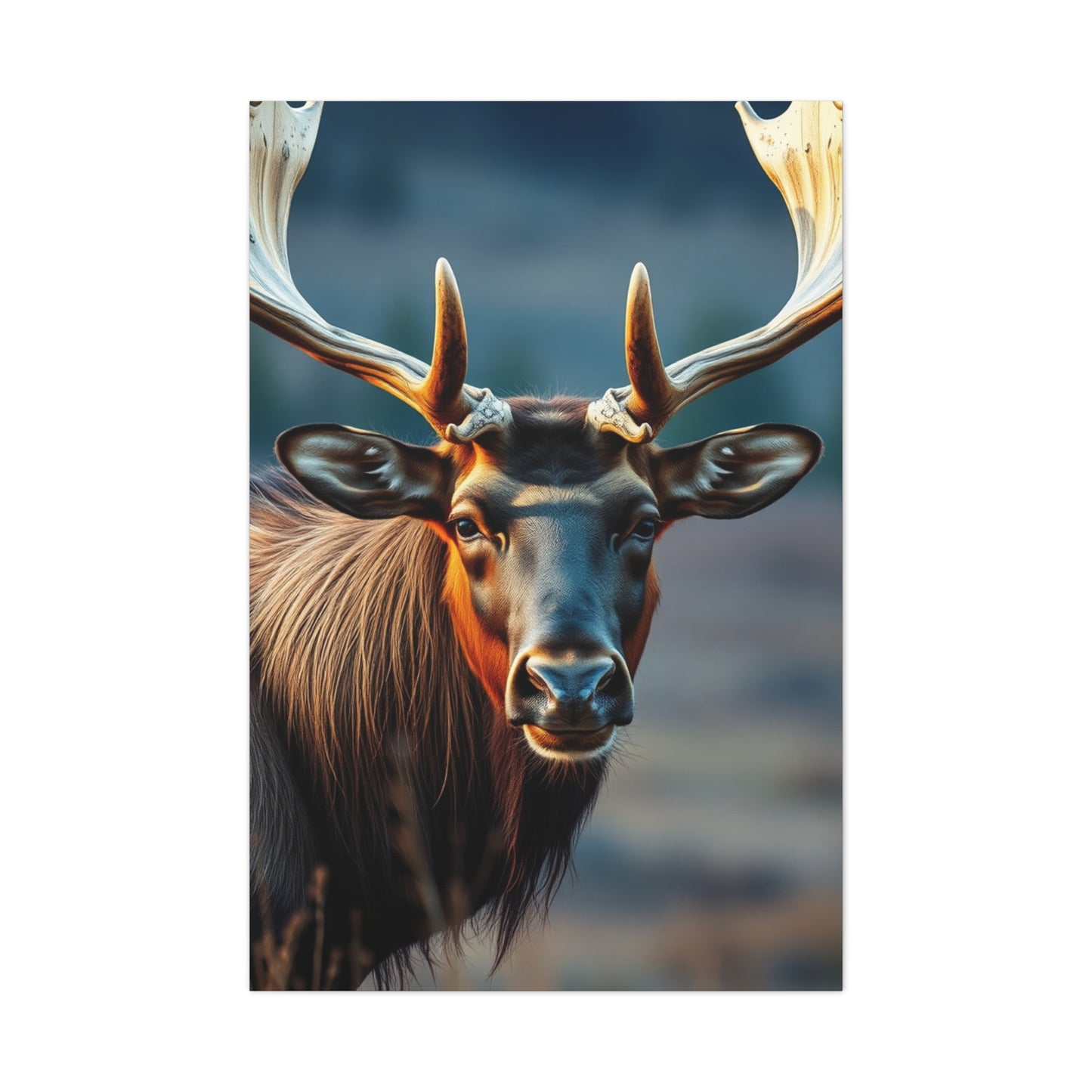 Elite Elk Art Vision Wall Art & Canvas Print