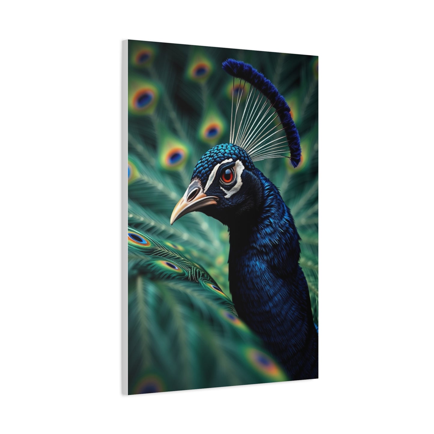 Peacock Art Refined Canvas Wall Art & Canvas Print