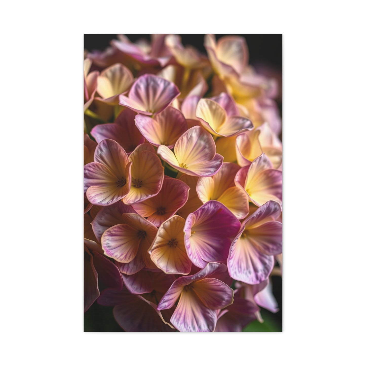 Supreme Hydrangea Flower Art Collection Wall Art & Canvas Print