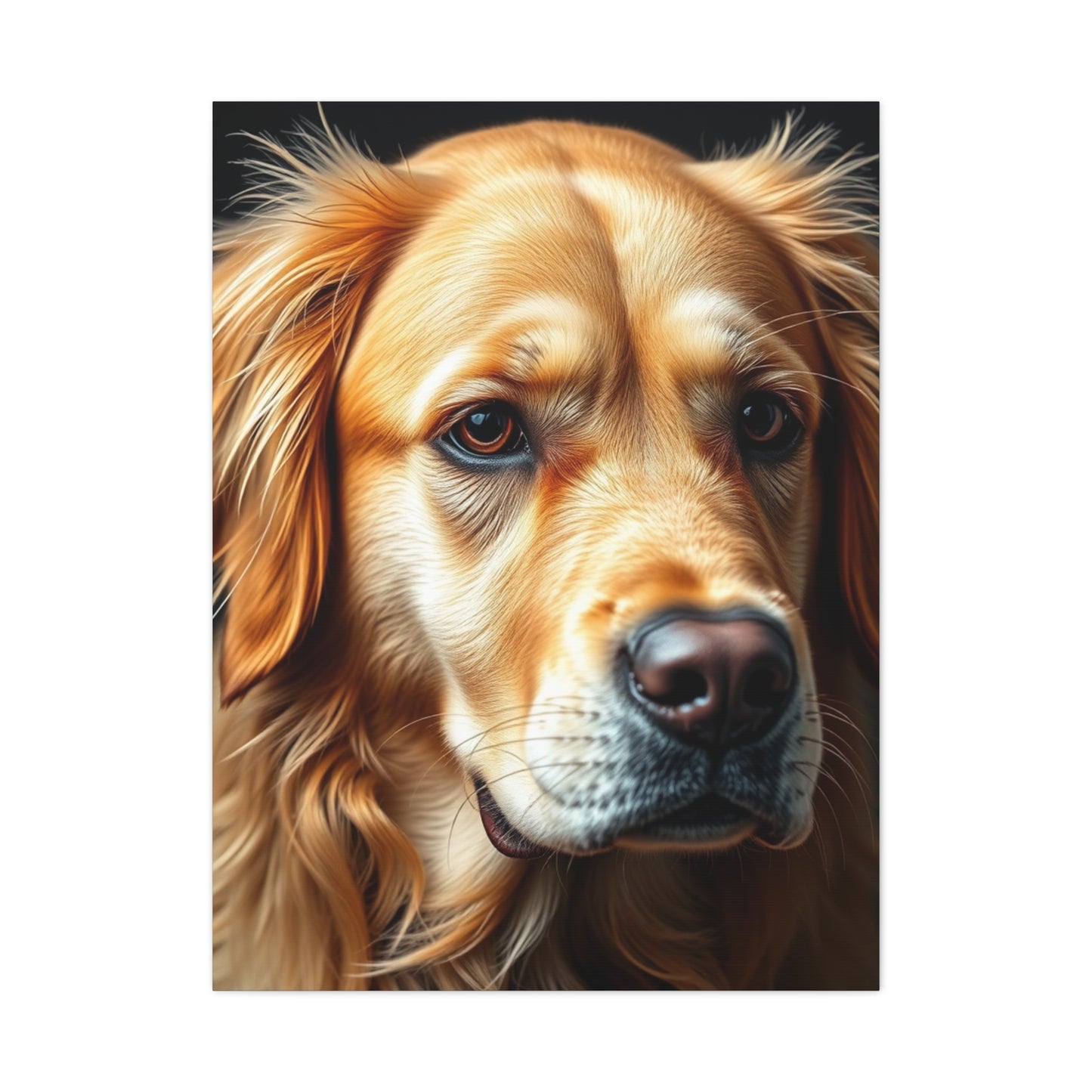 Supreme Golden Retriever Art Collection Wall Art & Canvas Print