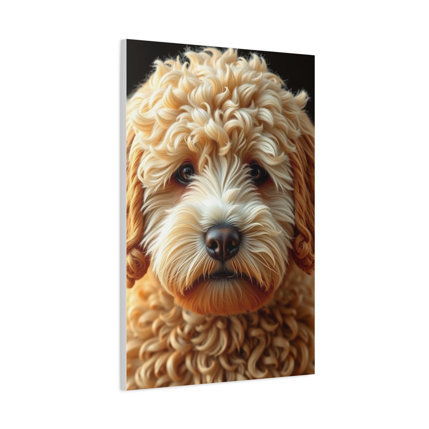 Golden Doodle Art Supreme Gallery Wall Art & Canvas Print