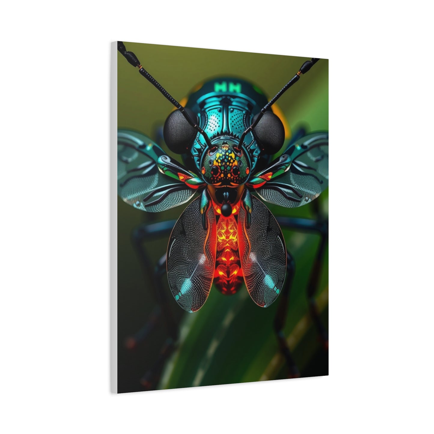 Firefly (Lighting Bug) Art Supreme Gallery Wall Art & Canvas Print
