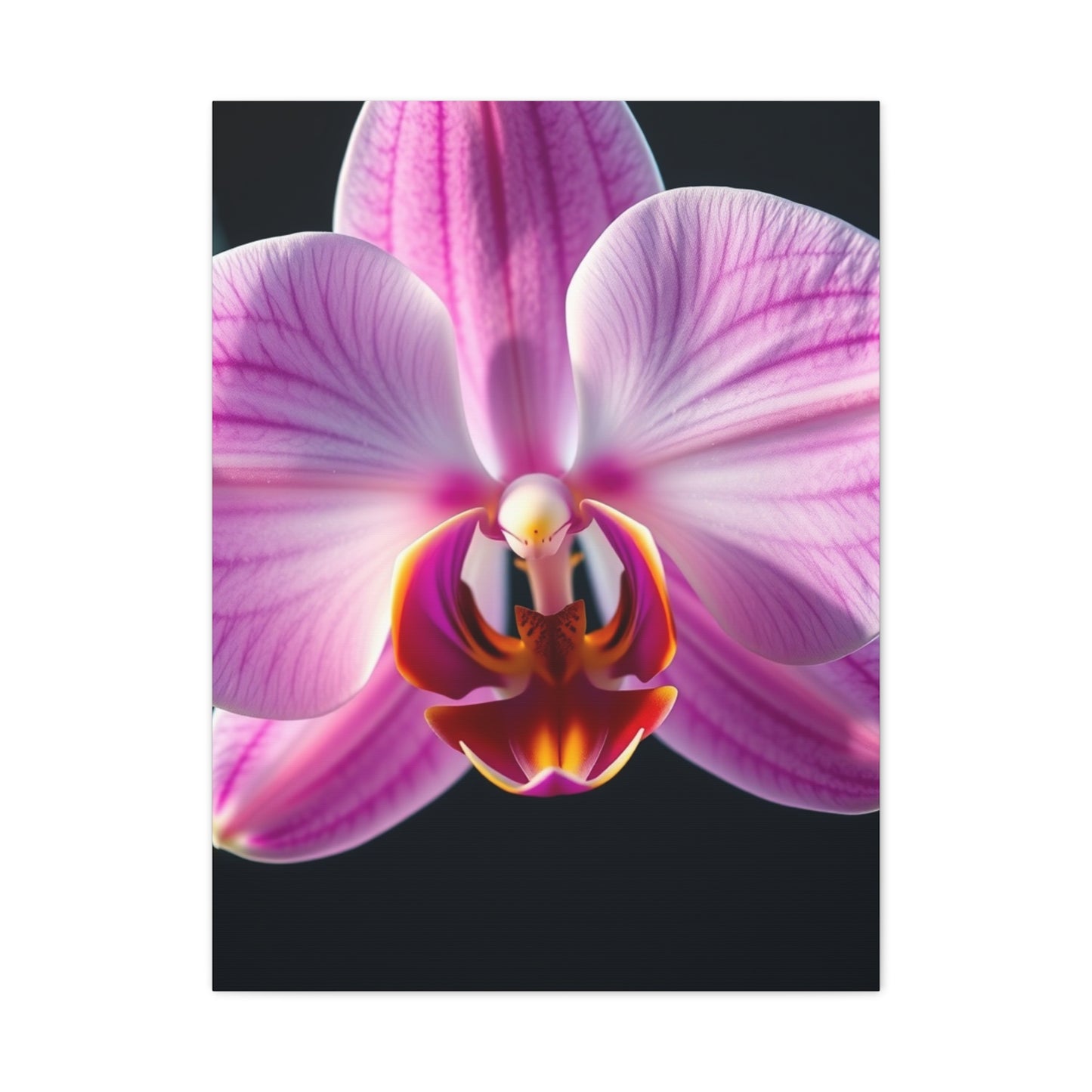 Supreme Orchid Flower Art Collection Wall Art & Canvas Print