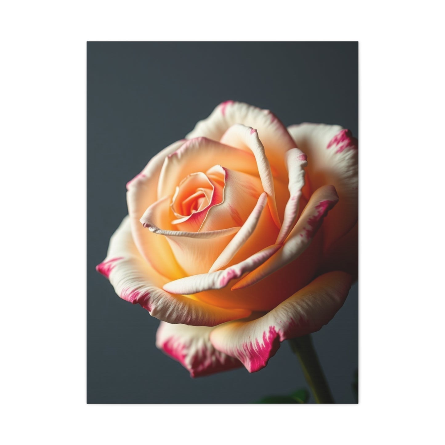 Elite Rose Flower Art Vision Wall Art & Canvas Print