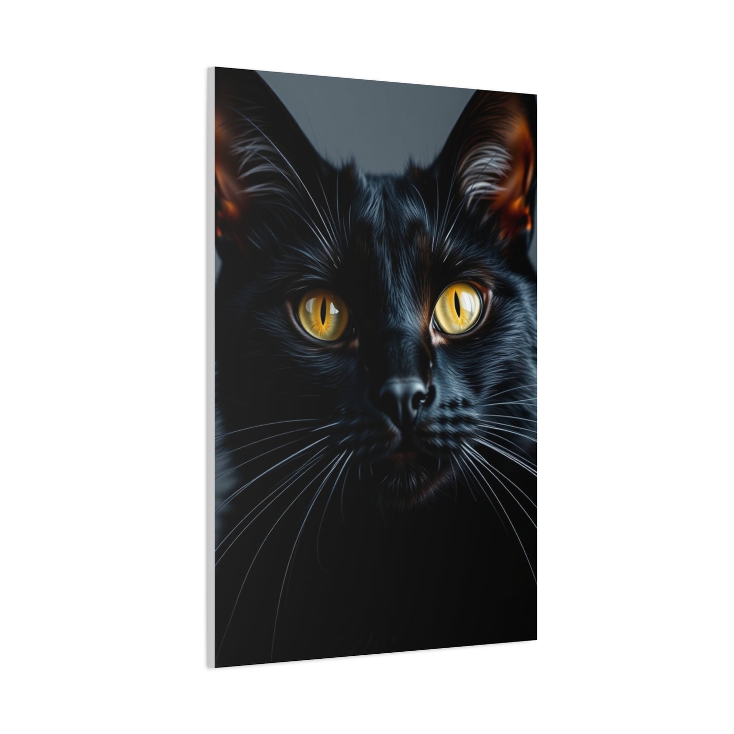 Supreme Black Cat Art Collection Wall Art & Canvas Print