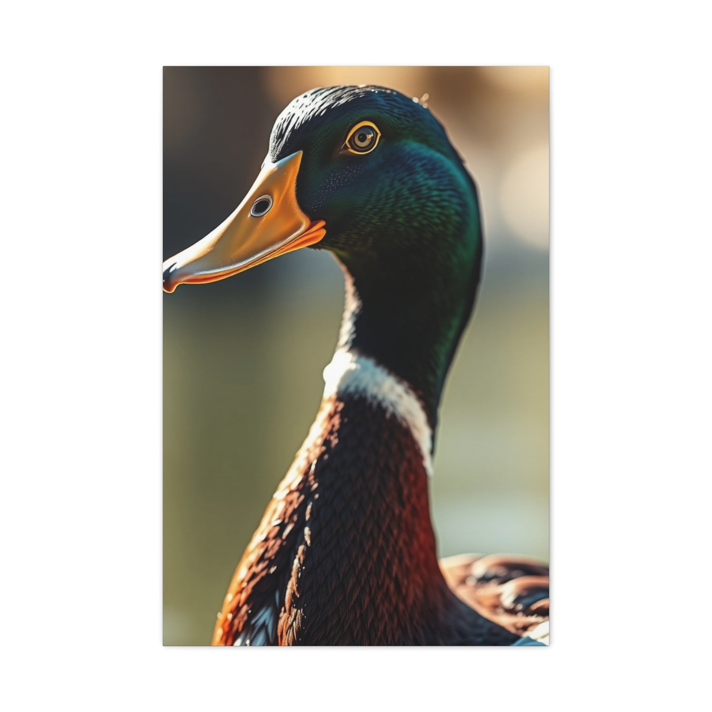 Supreme Duck Art Collection Wall Art & Canvas Print
