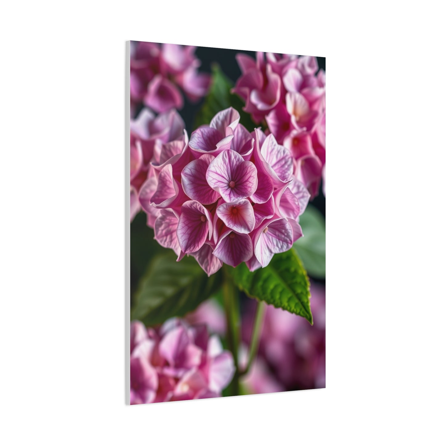 Supreme Hydrangea Flower Art Collection Wall Art & Canvas Print