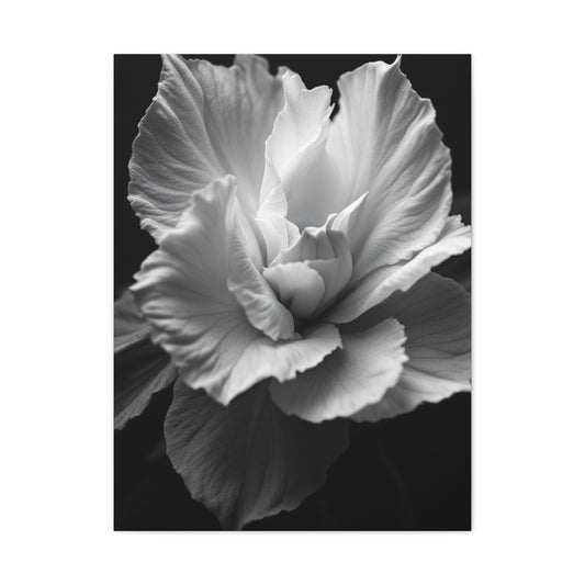 Sculpted Petal Elegance Close-Up Wall Art & Canvas Prints