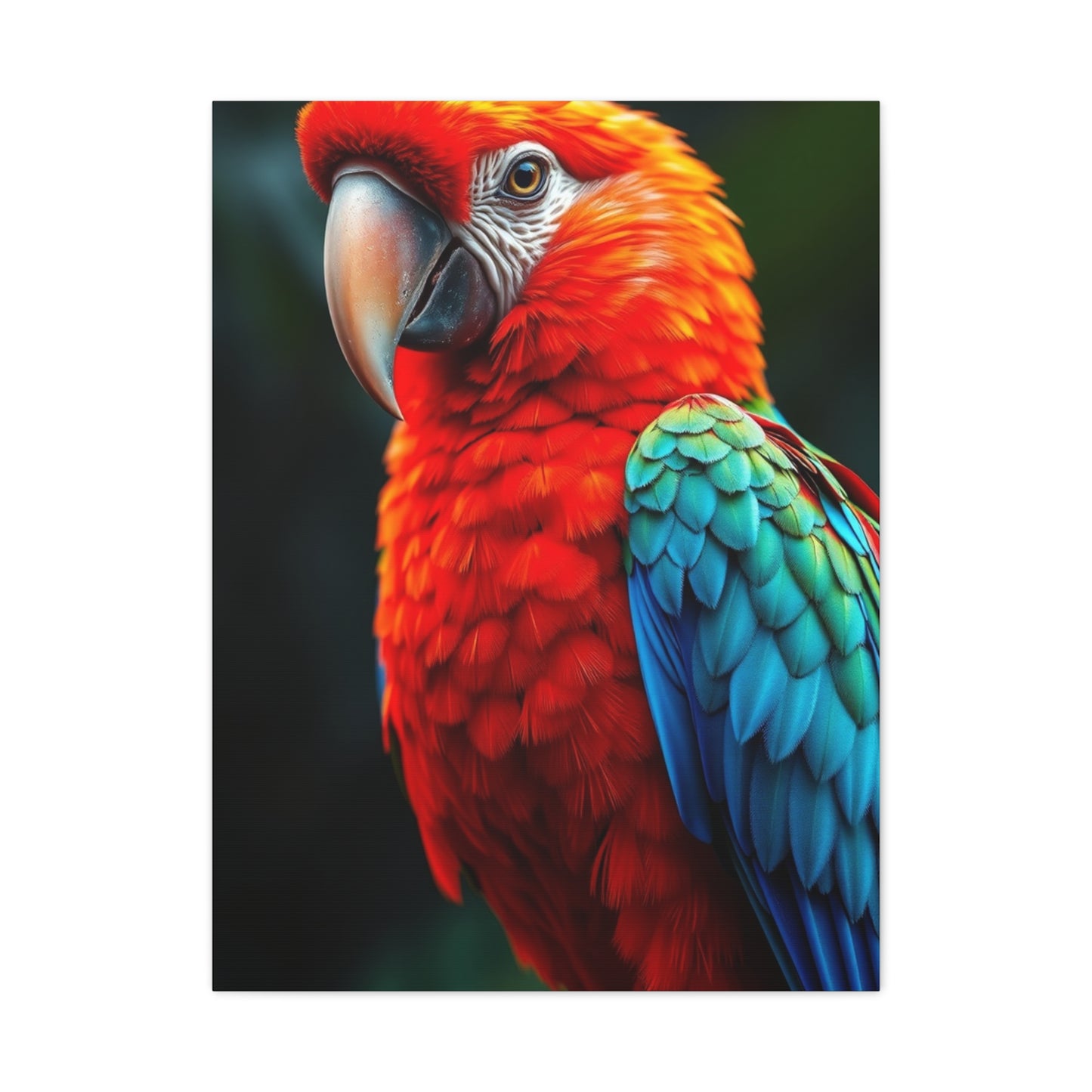Supreme Tropical Birds Art Collection Wall Art & Canvas Print