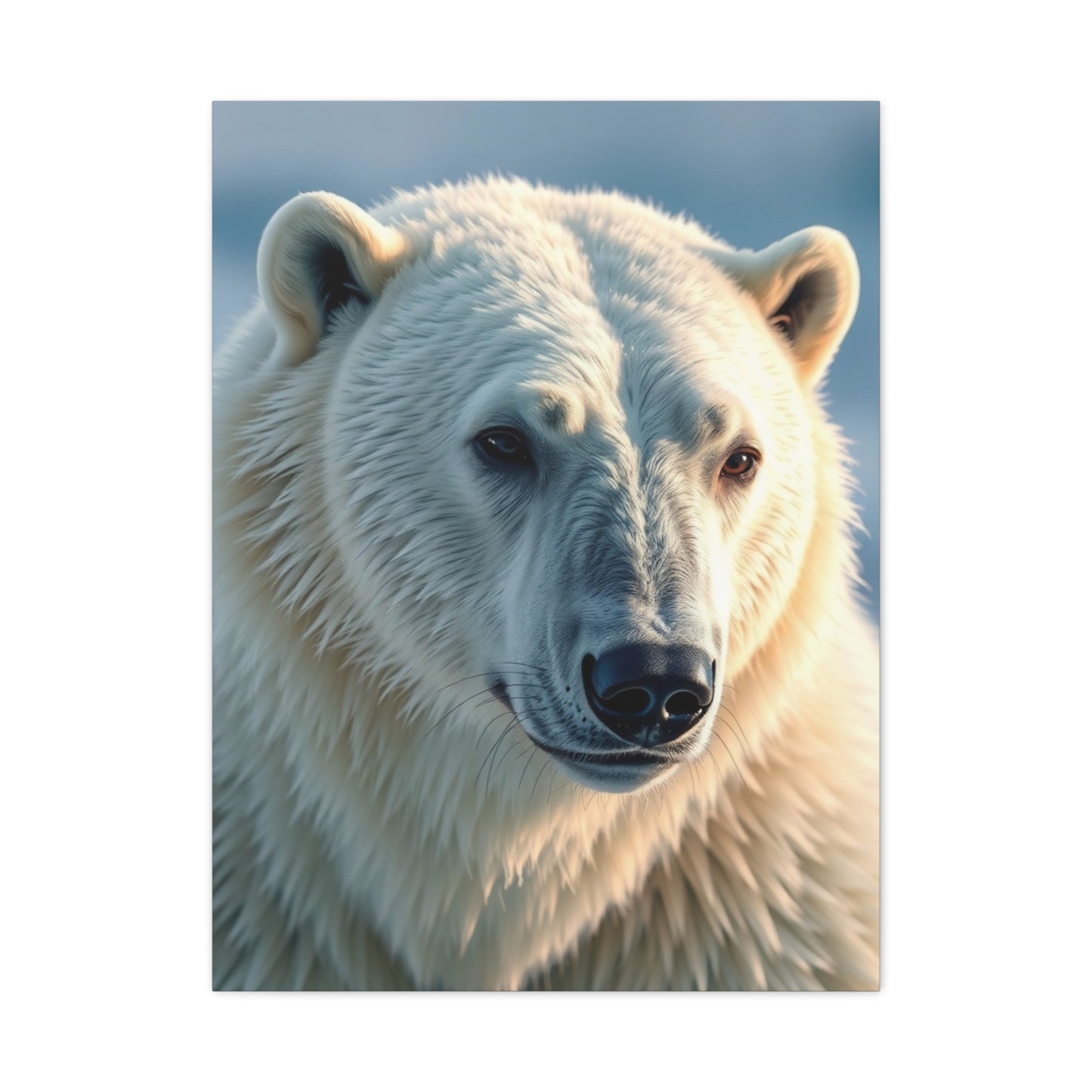 Polar Bear Art Luxury Canvas Wall Art & Canvas Print