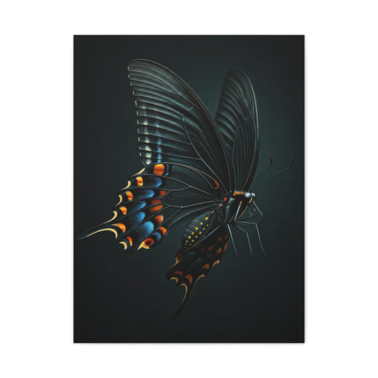 Dark Swallowtail Butterfly in Flight Wall Art & Canvas Prints