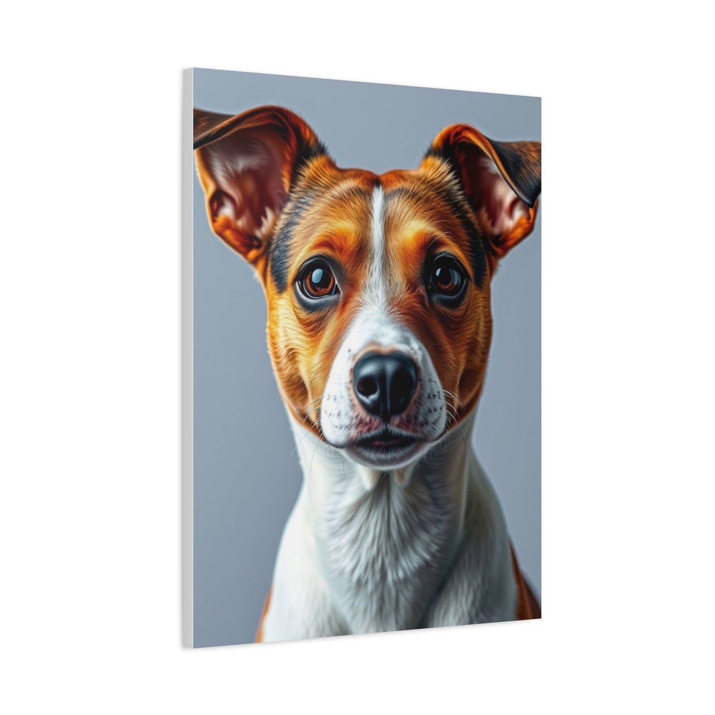 Jack Russell Terrier Art Supreme Gallery Wall Art & Canvas Print