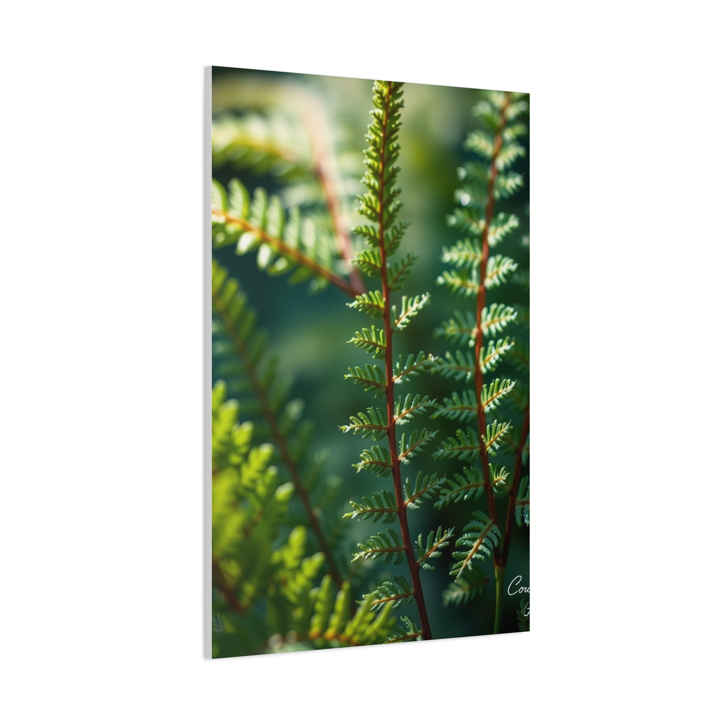 Fern Art Supreme Gallery Wall Art & Canvas Print