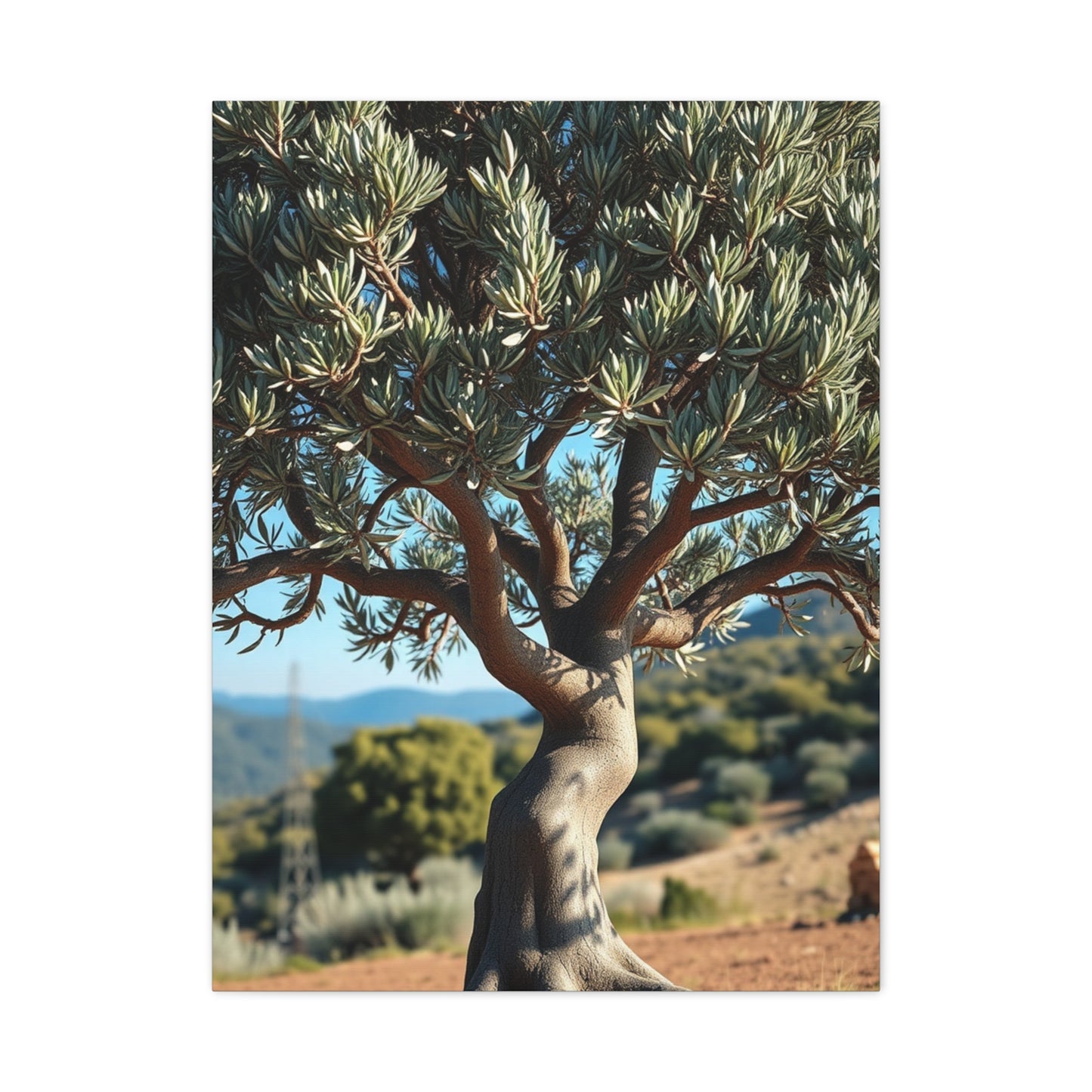 Masterpiece Olive Tree Art Vision Wall Art & Canvas Print