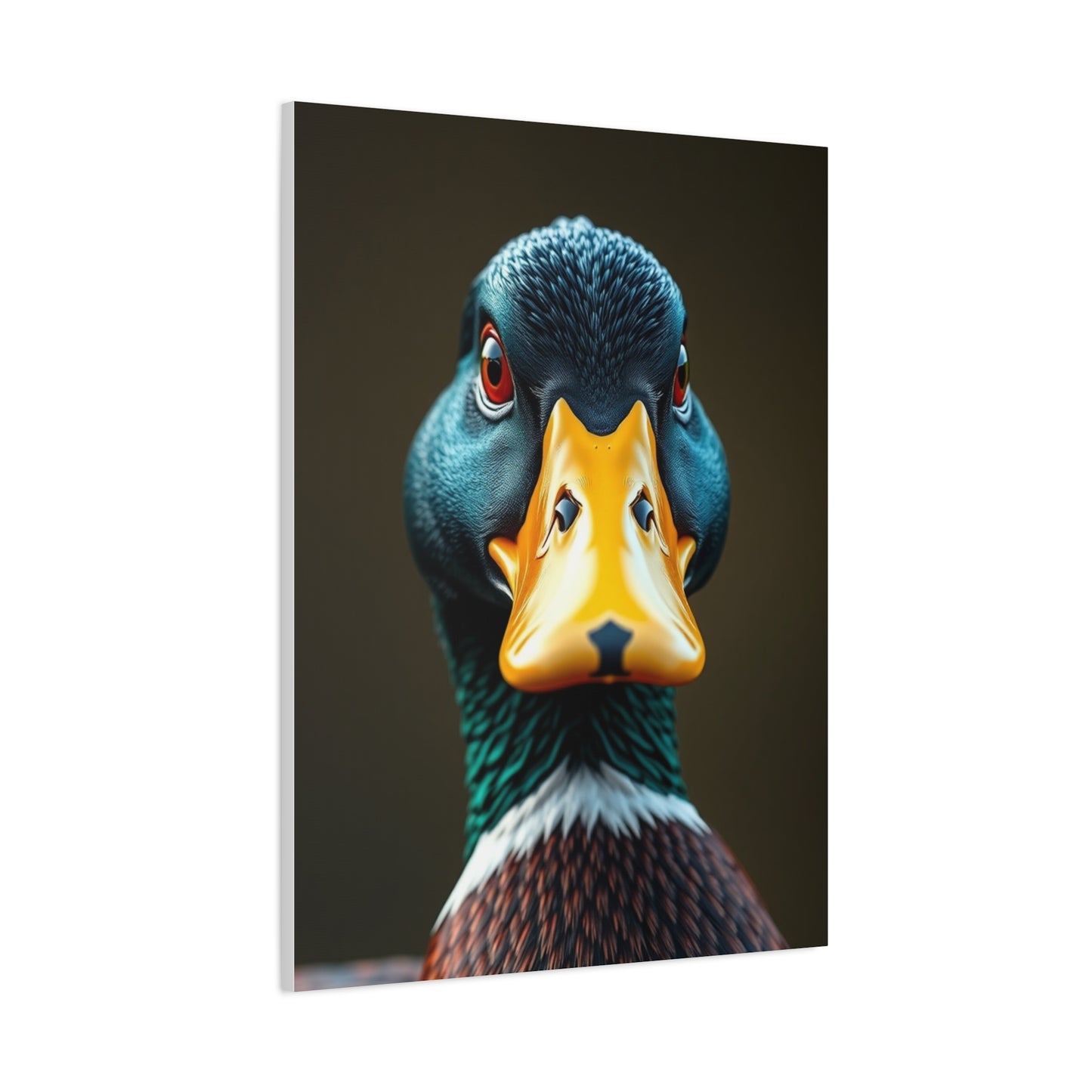 Elite Duck Art Vision Wall Art & Canvas Print