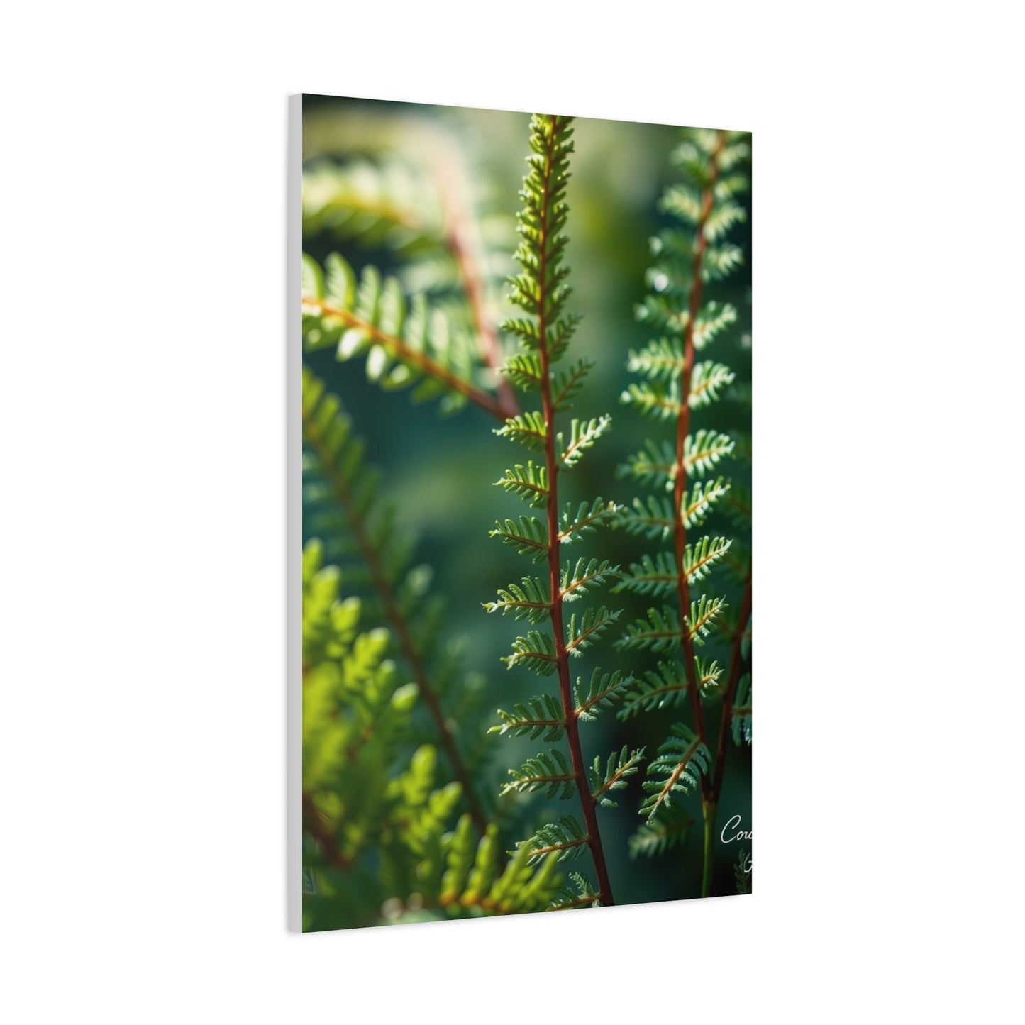 Fern Art Supreme Gallery Wall Art & Canvas Print