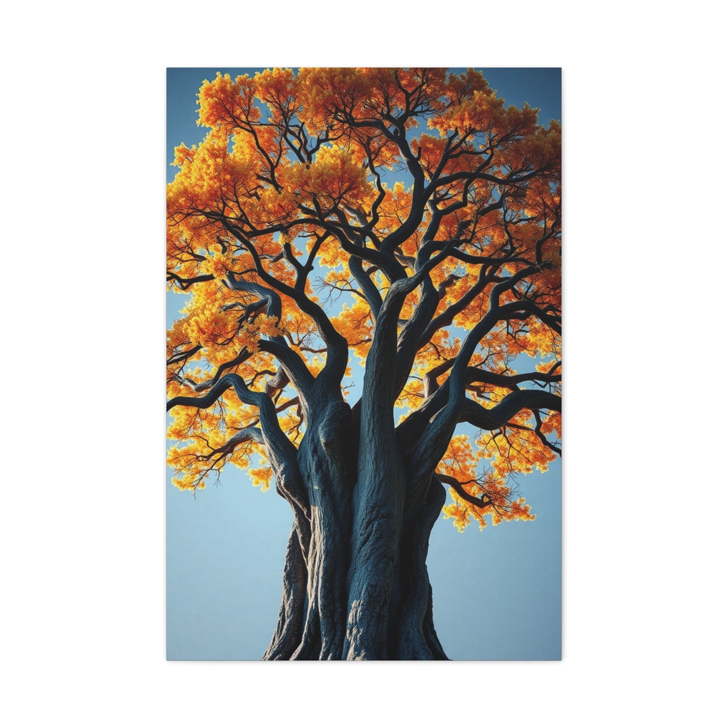 Oak Tree Art Supreme Gallery Wall Art & Canvas Print