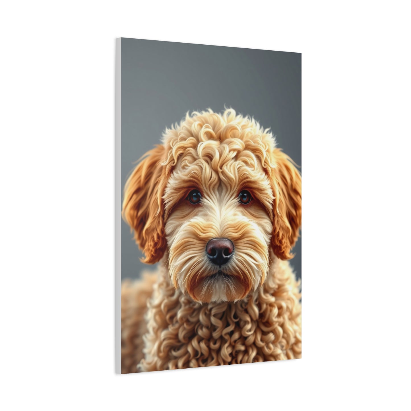 Supreme Golden Doodle Art Collection Wall Art & Canvas Print