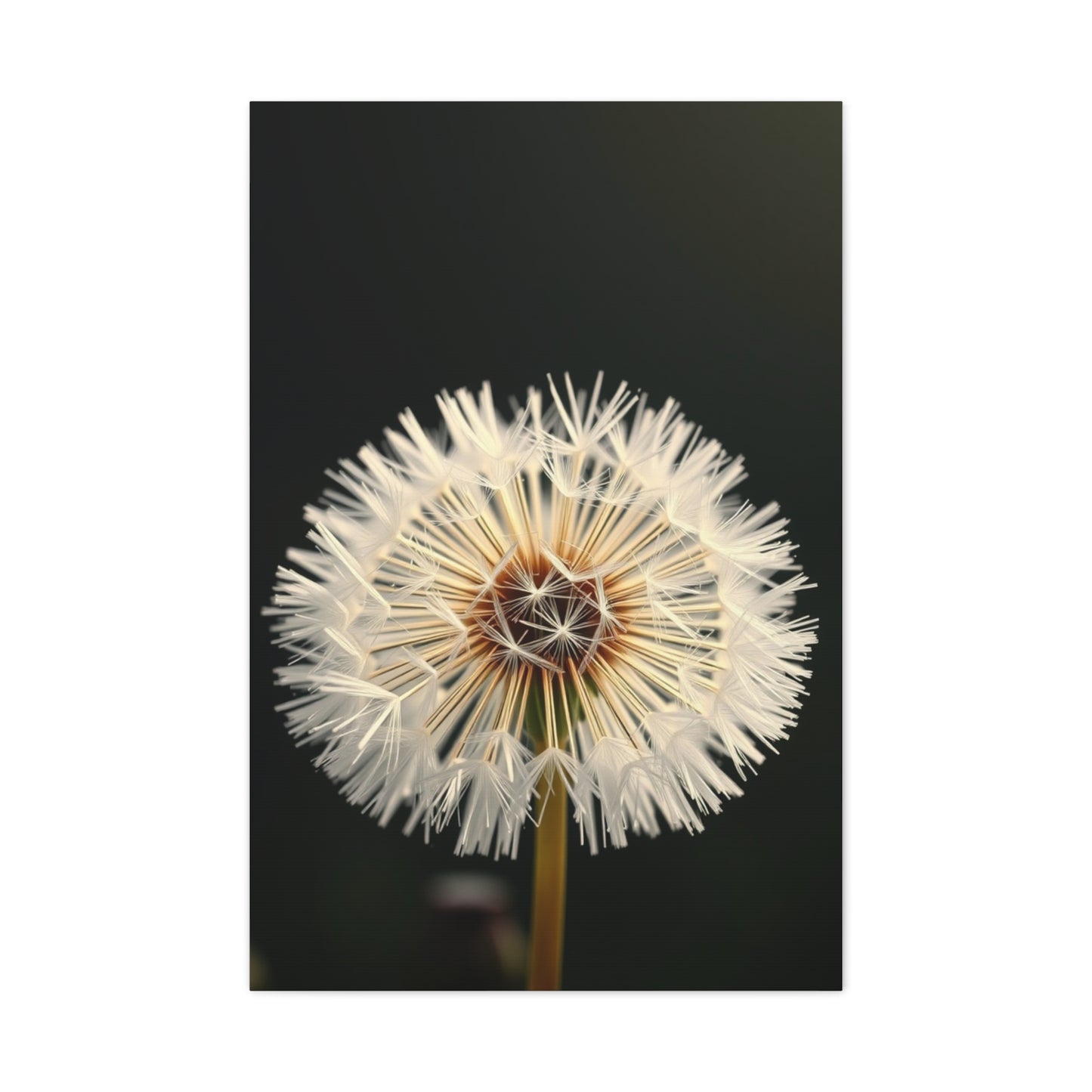 Masterpiece Dandelion Flower Art Vision Wall Art & Canvas Print