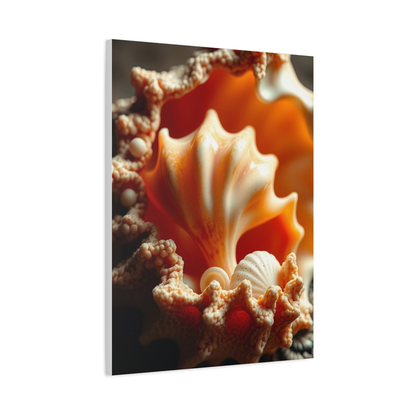 Supreme Shells Art Collection Wall Art & Canvas Print
