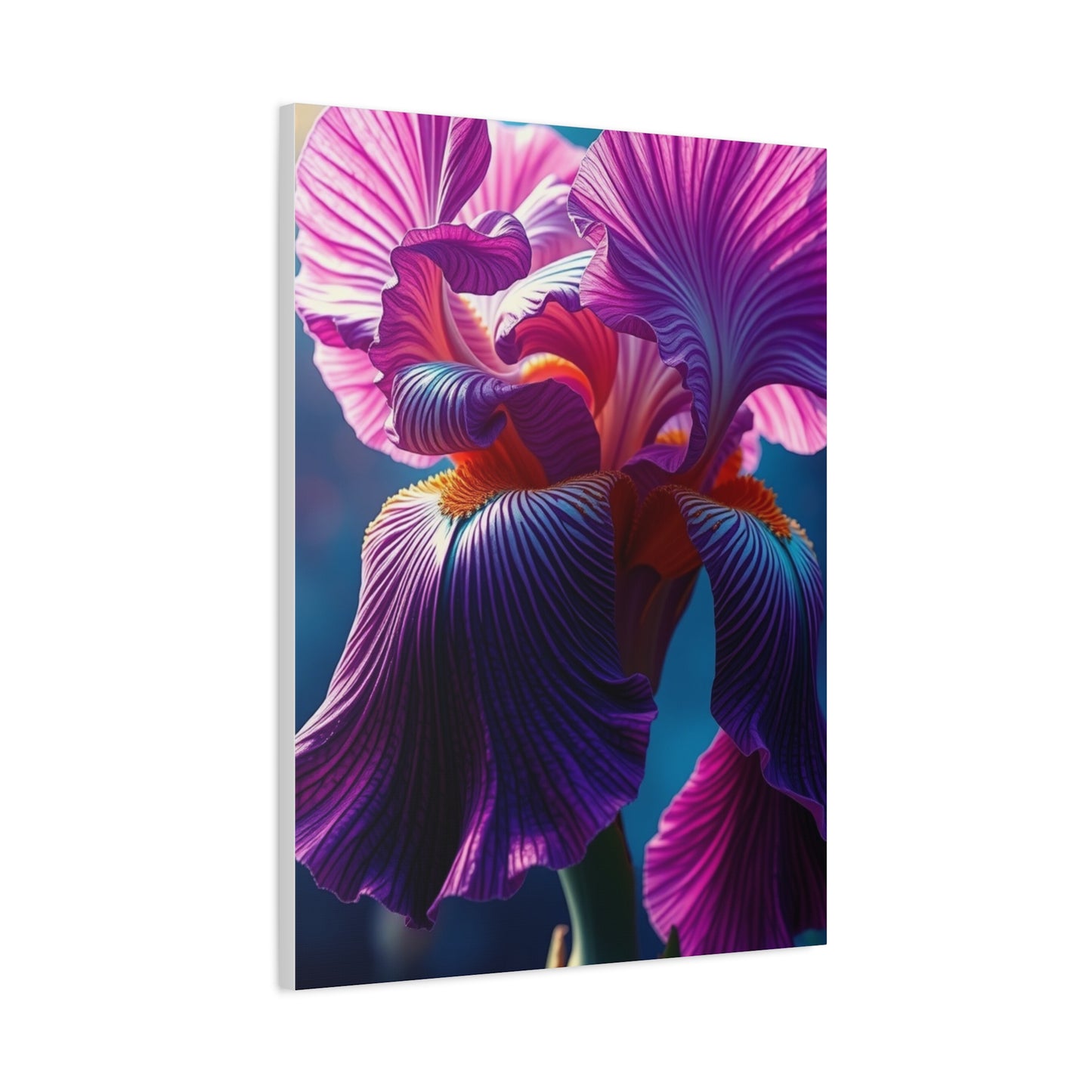 Supreme Iris Scott Art Collection Wall Art & Canvas Print