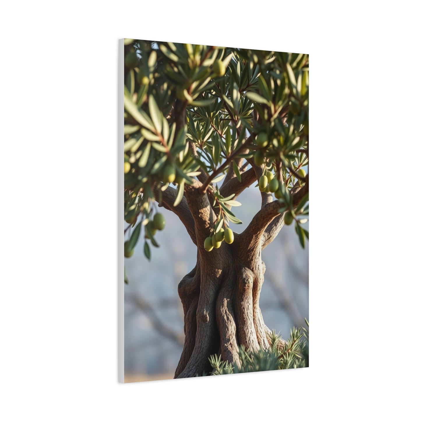 Elite Olive Tree Art Vision Wall Art & Canvas Print